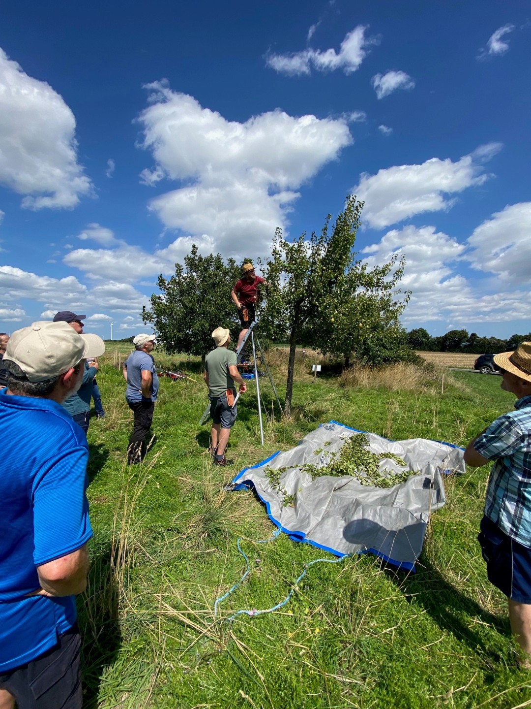 Die Teilnehmer des Schnittkurs in Kehrig im vergangenen Jahr. 