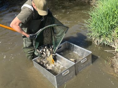 Die gesamte Fischbiomasse wurde auf etwa 250 bis 400 Kilogramm geschätzt. 