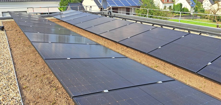 Ein Beispiel für ein neu angelegtes Gründach aus Kottenheim. Ein Beispiel für ein neu angelegtes Gründach aus Kottenheim.