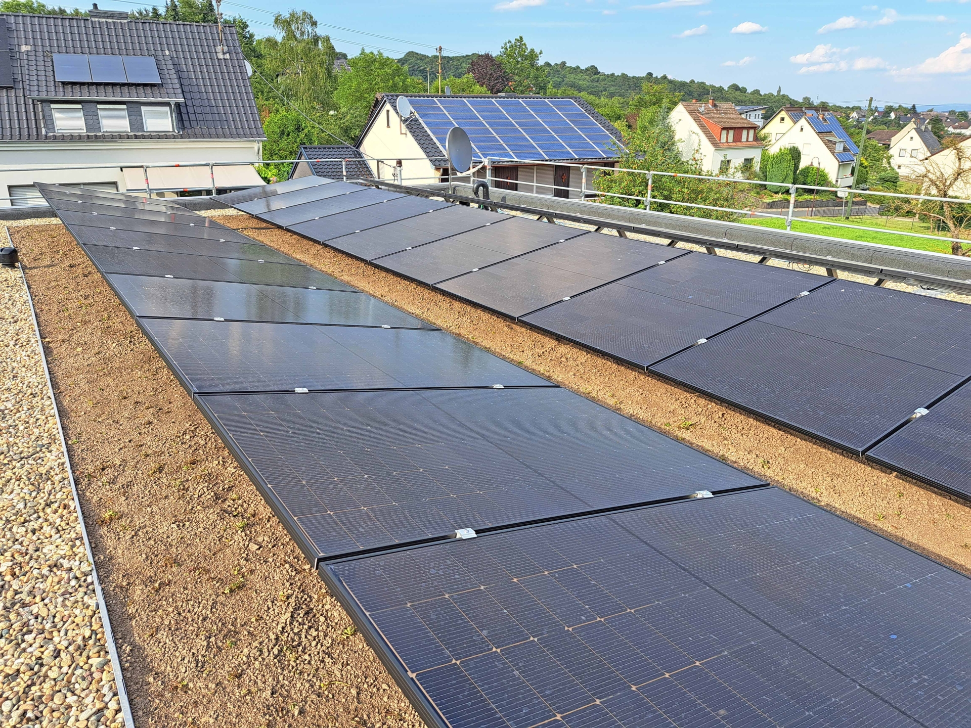 Ein Beispiel für ein neu angelegtes Gründach aus Kottenheim. 