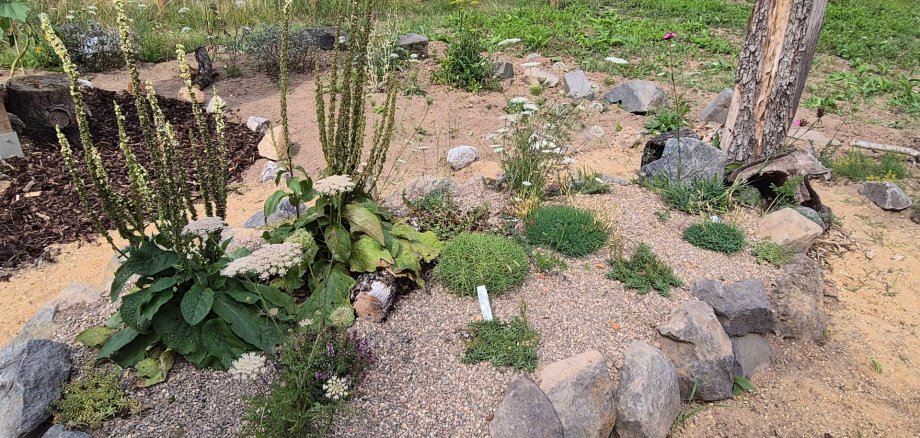 Der „Natur-Erlebnis-Garten“ in Urmitz wurde in den vergangenen Jahren über den Wettbewerb unterstützt. Dabei sind unterschiedliche Kleinstbiotopen und heimische Pflanzen angelegt worden.