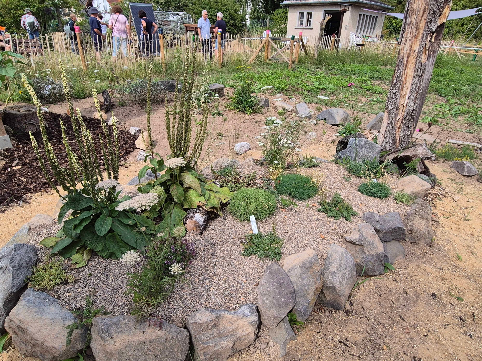 Der „Natur-Erlebnis-Garten“ in Urmitz wurde in den vergangenen Jahren über den Wettbewerb unterstützt. Dabei sind unterschiedliche Kleinstbiotopen und heimische Pflanzen angelegt worden.