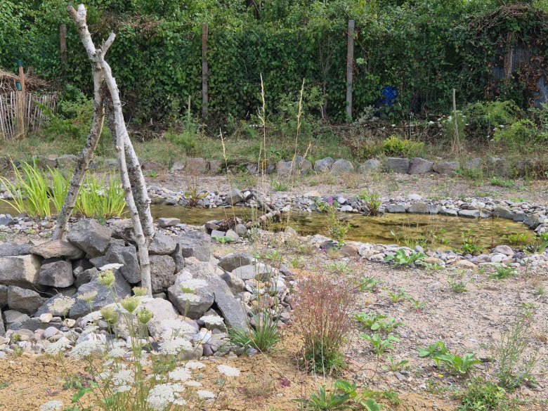 Der „Natur-Erlebnis-Garten“ in Urmitz wurde in den vergangenen Jahren über den Wettbewerb unterstützt. Dabei sind unterschiedliche Kleinstbiotopen und heimische Pflanzen angelegt worden.