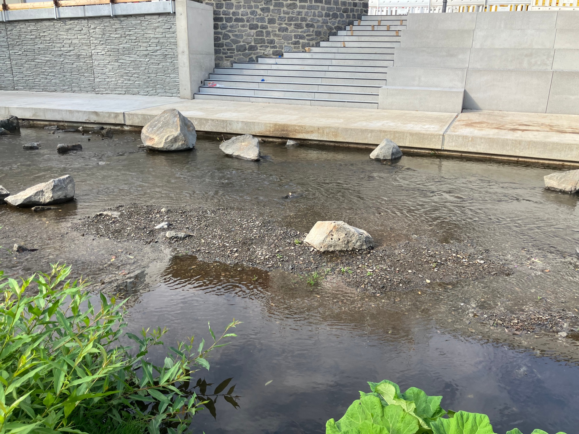 Die anhaltende Trockenheit und die hohen Temperaturen führen derzeit auch an kleineren Flüssen und Bächen im Landkreis Mayen-Koblenz zu deutlich niedrigeren Wasserständen. 