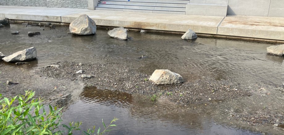 Die anhaltende Trockenheit und die hohen Temperaturen führen derzeit auch an kleineren Flüssen und Bächen im Landkreis Mayen-Koblenz zu deutlich niedrigeren Wasserständen. Die anhaltende Trockenheit und die hohen Temperaturen führen derzeit auch an kleineren Flüssen und Bächen im Landkreis Mayen-Koblenz zu deutlich niedrigeren Wasserständen.