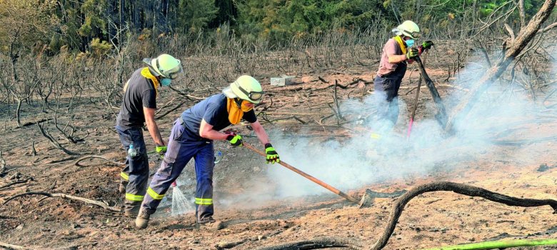 Waldbrand: Im Kreishaus laufen Fäden zusammen