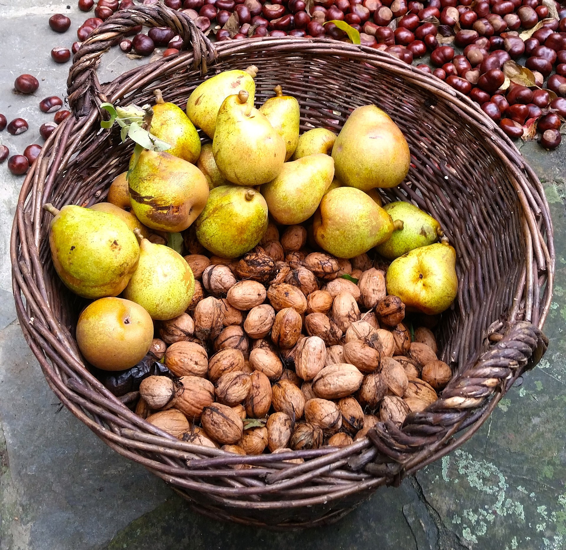 Der Workshop „Köstlichkeiten von der Streuobstwiese“ vermittelt praktische Ideen zur Verarbeitung und Konservierung von Äpfeln und Birnen. 