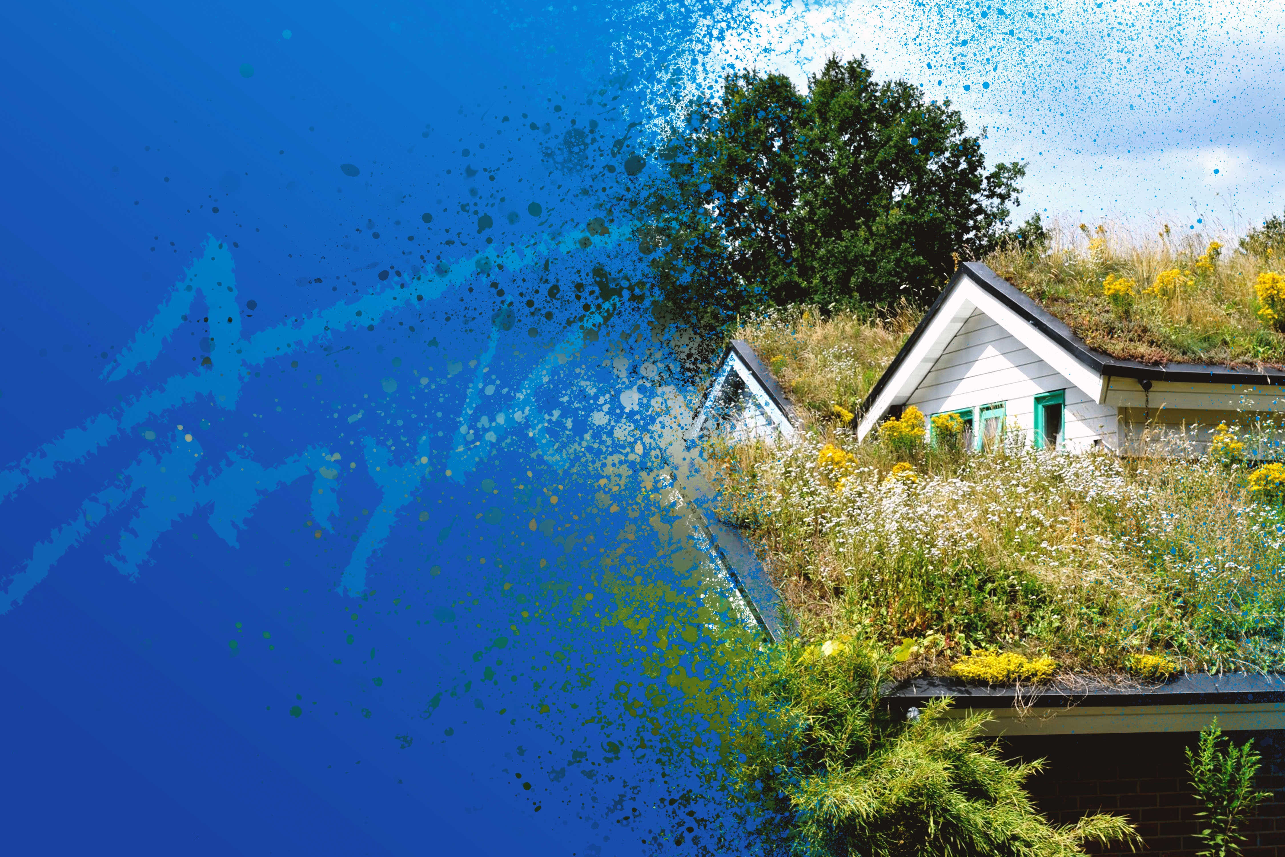 Header Förderprogramm Dach- und Fassadenbegrünung