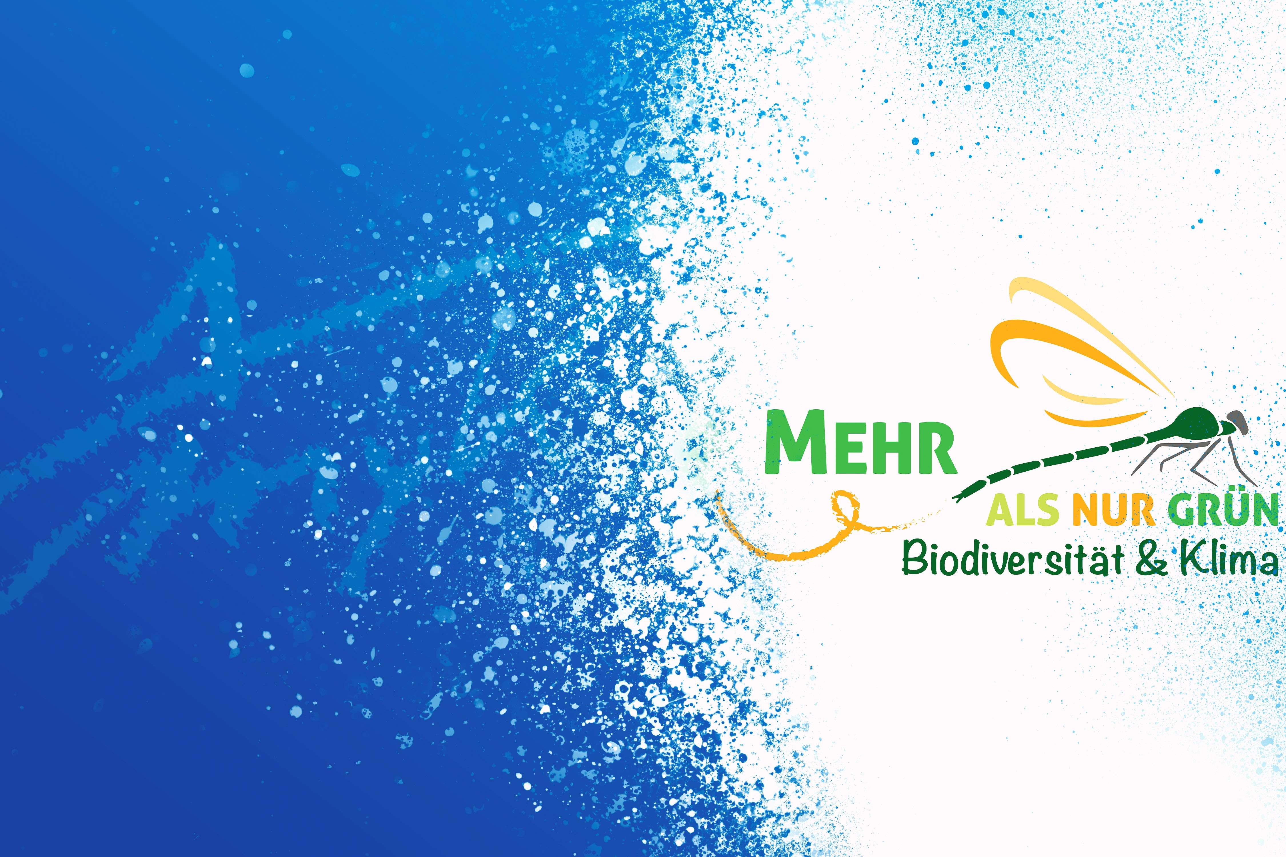 Header Mehr als nur grün 