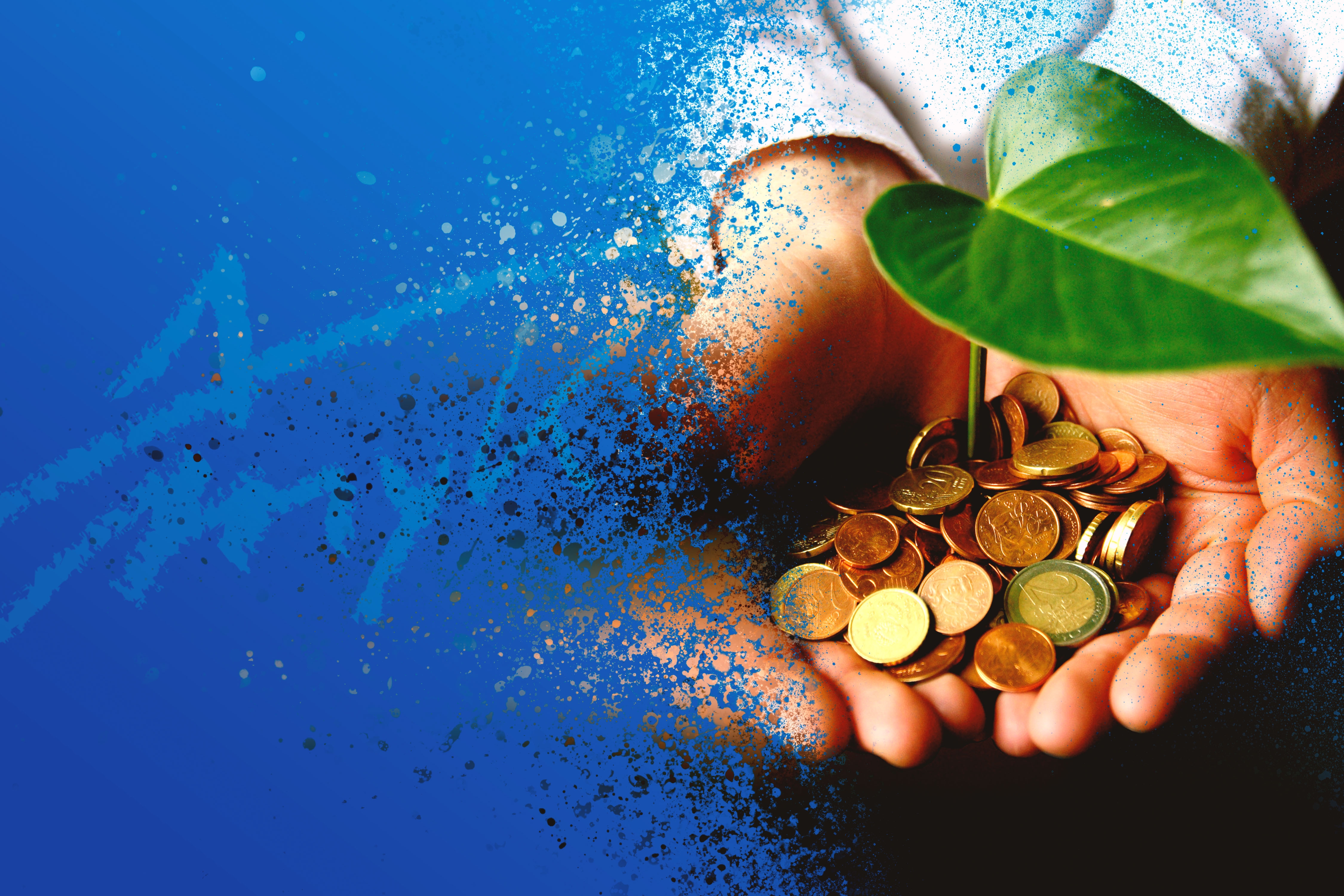 Header Stfitung Umwelt & Natur