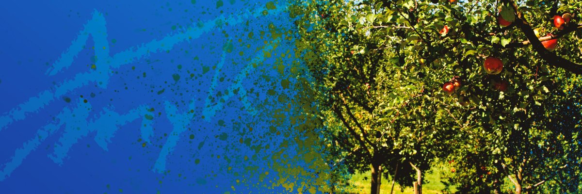 Header Streuobstwiesen Header Streuobstwiesen