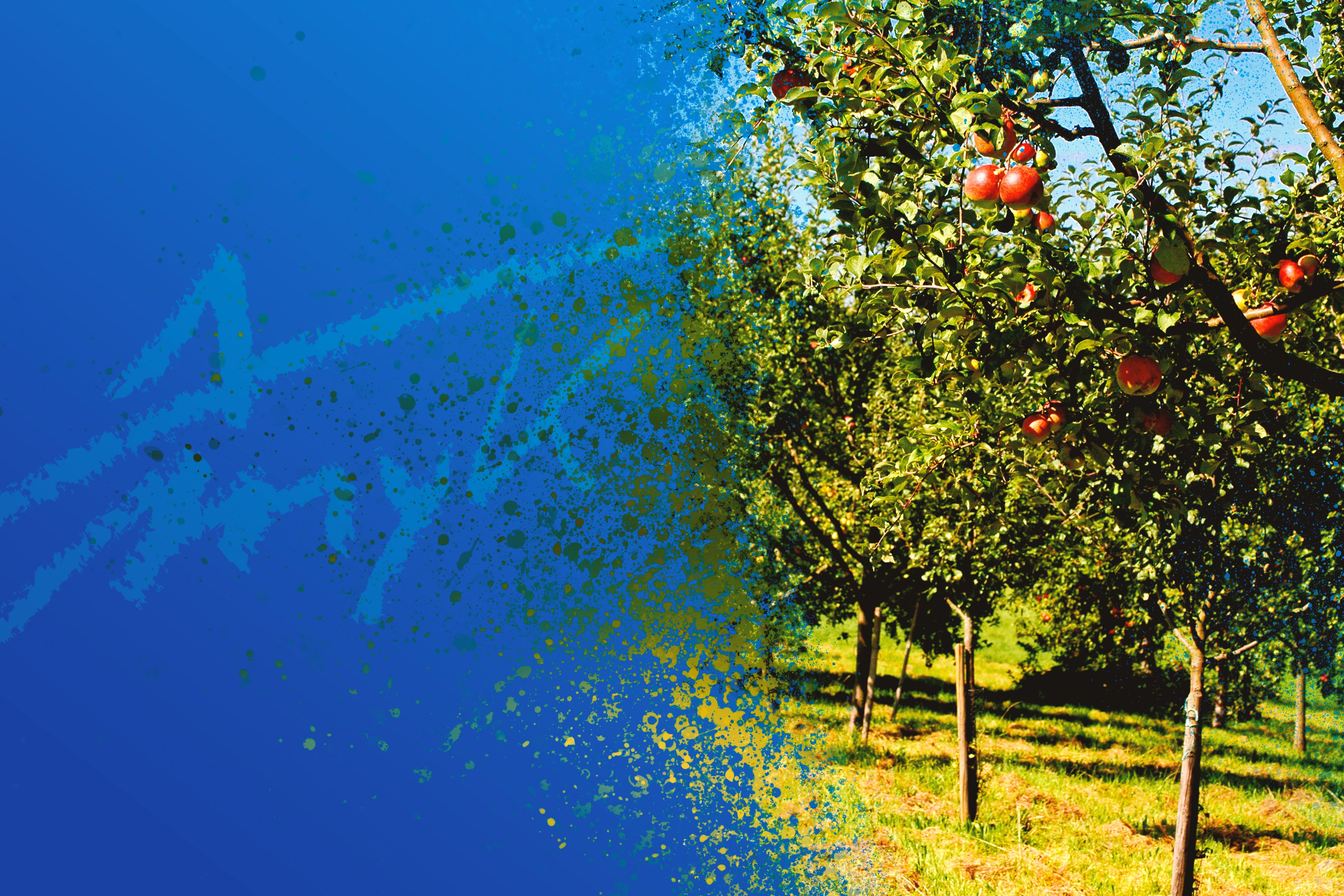 Header Streuobstwiesen