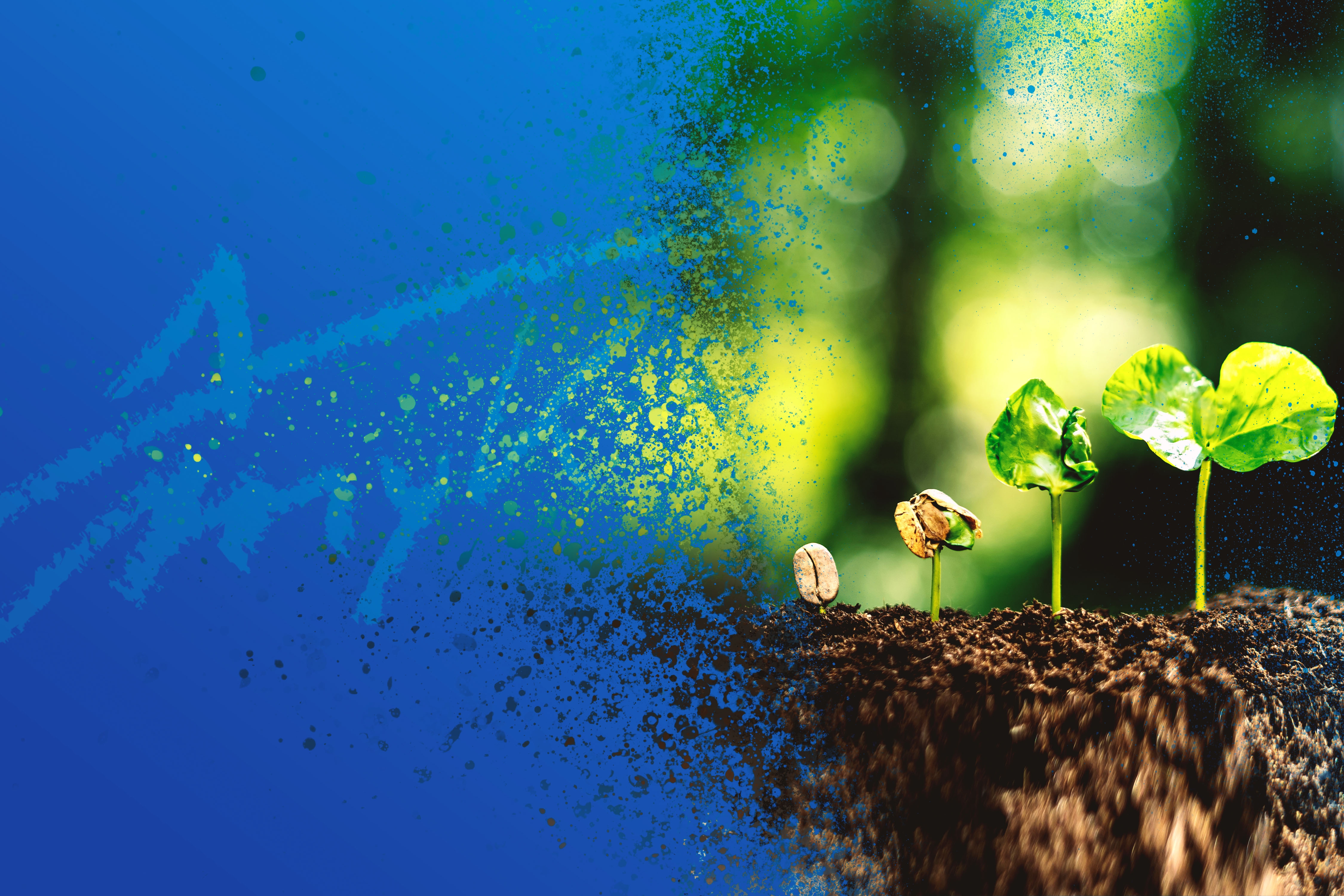 Header Umwelt & Natur