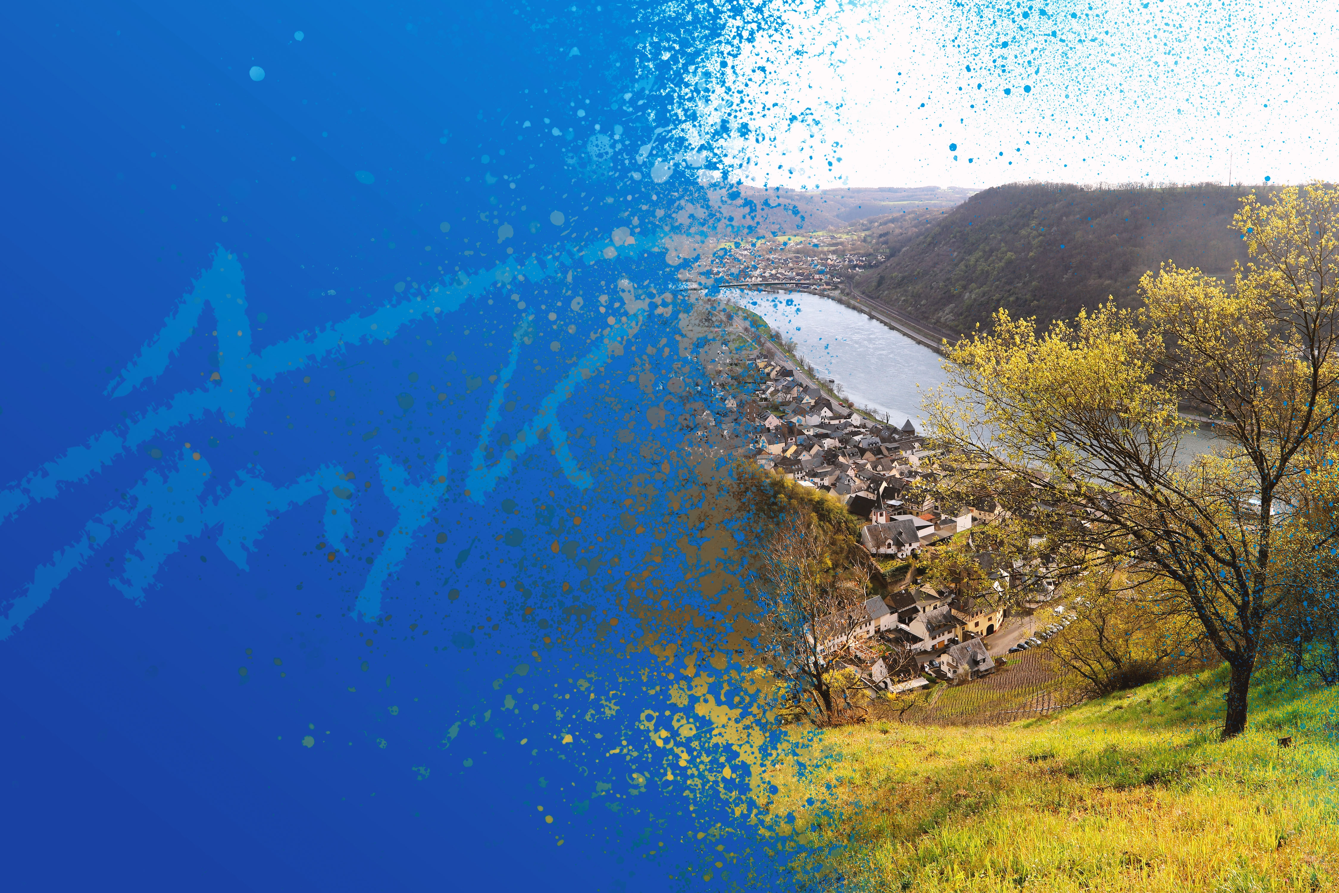 Header Weinbergsbrachen Alken